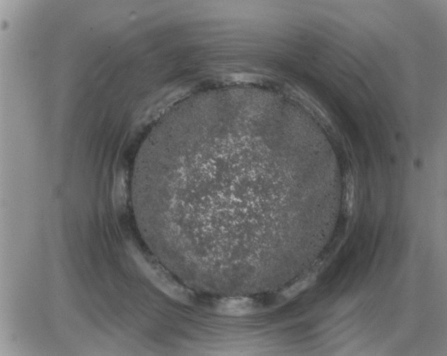 X0000085310410200703231929