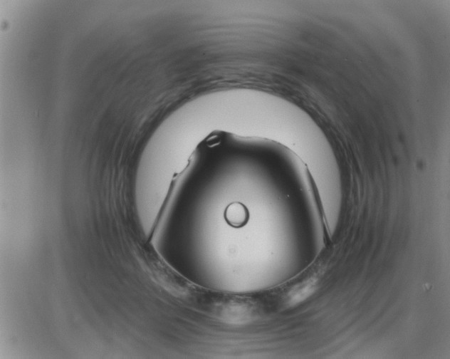 X0000085310412200703231929