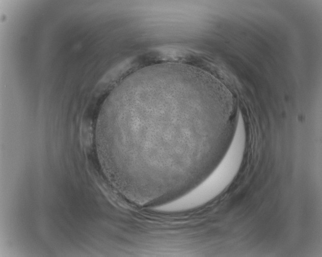 X0000085310413200703231929