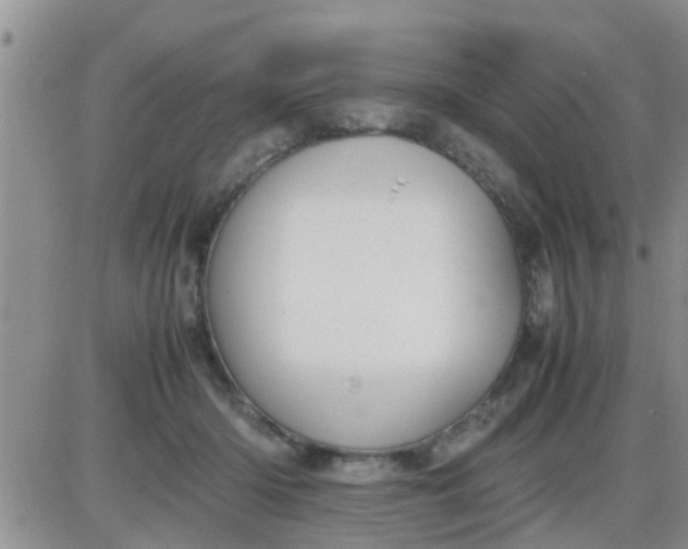 X0000085310414200703231929