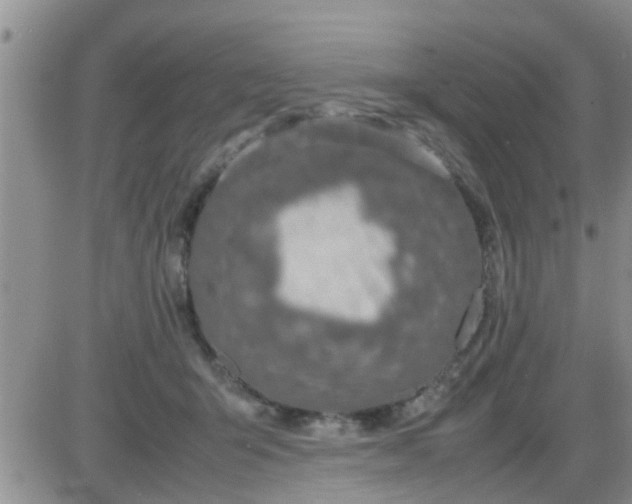 X0000085310415200703231929