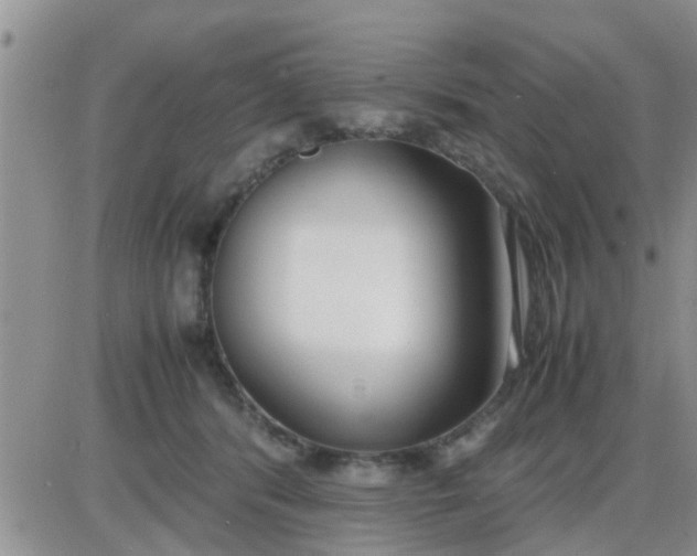 X0000085310416200703231929