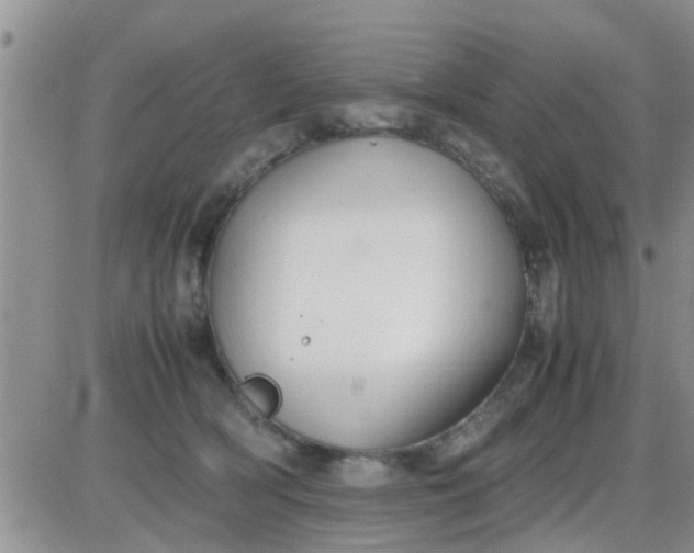 X0000085310418200703231929