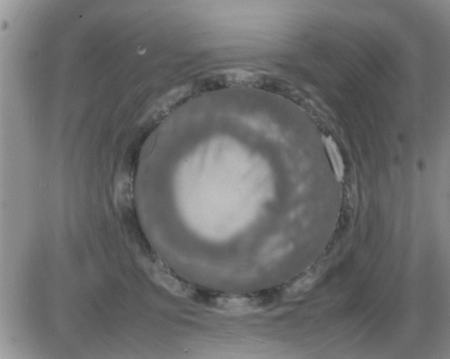 X0000085310419200703231929