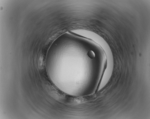 X0000085310420200703231929