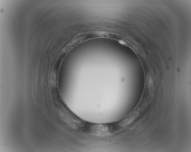 X0000085310421200703231928