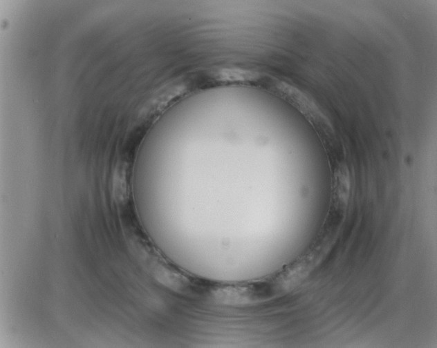 X0000085310422200703231928