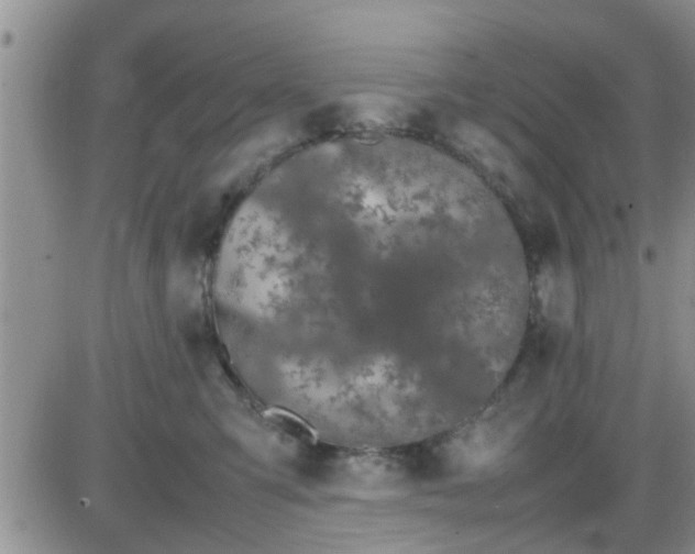 X0000085310423200703231928