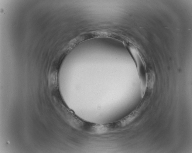 X0000085310425200703231928