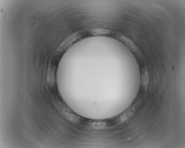 X0000085310426200703231928