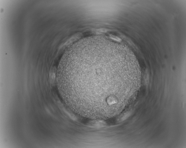 X0000085310427200703231928