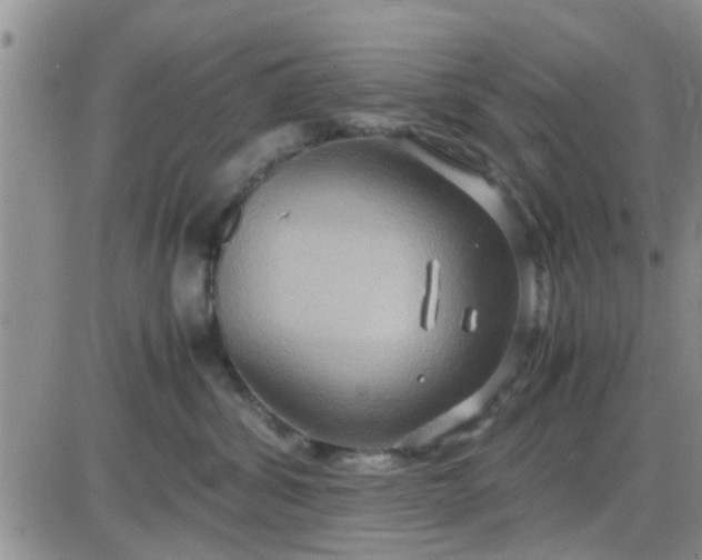 X0000085310428200703231928