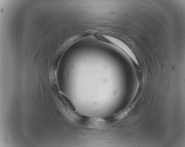 X0000085310429200703231928