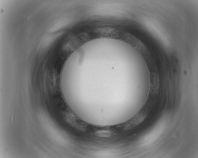 X0000085310430200703231928