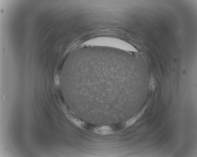 X0000085310431200703231928