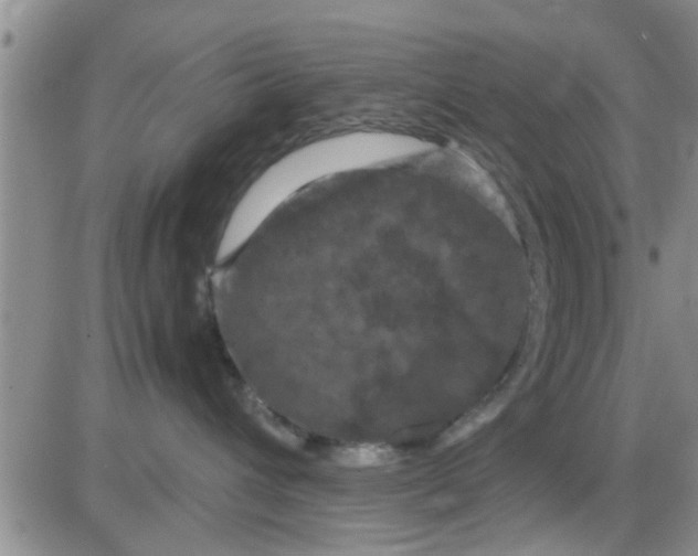 X0000085310432200703231928