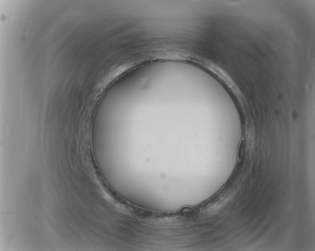 X0000085310433200703231928