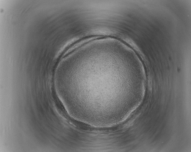 X0000085310434200703231928