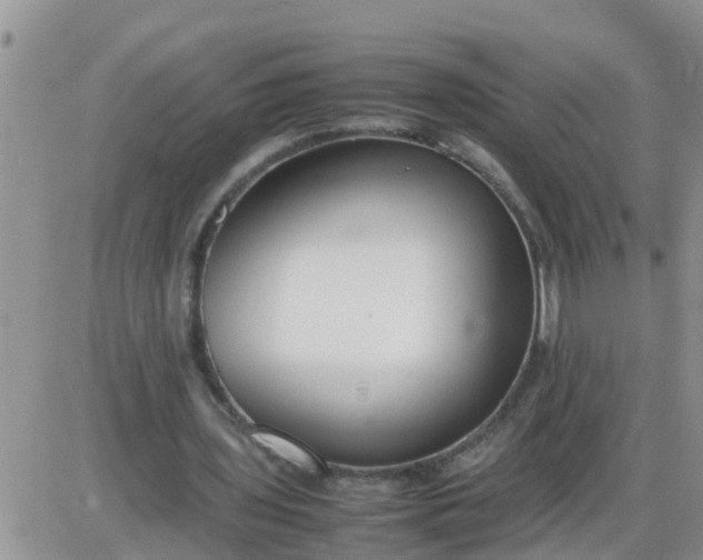 X0000085310435200703231928