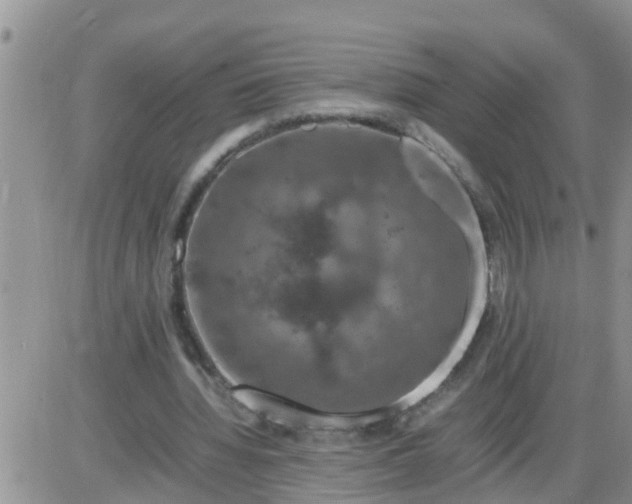 X0000085310436200703231928