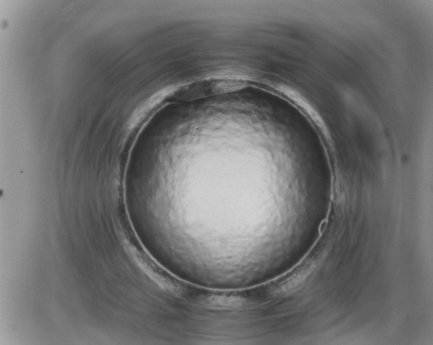 X0000085310437200703231928