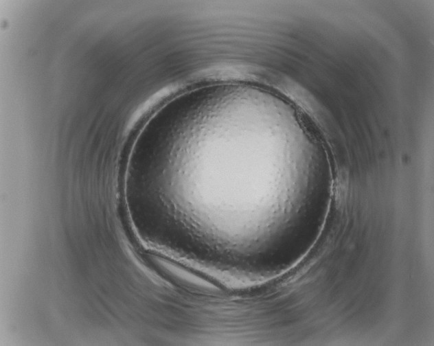 X0000085310438200703231928