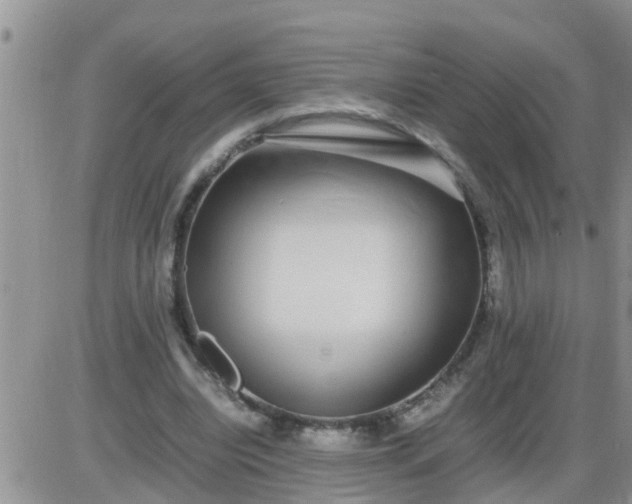 X0000085310440200703231928