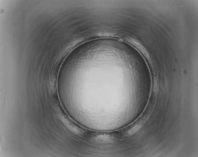 X0000085310441200703231928