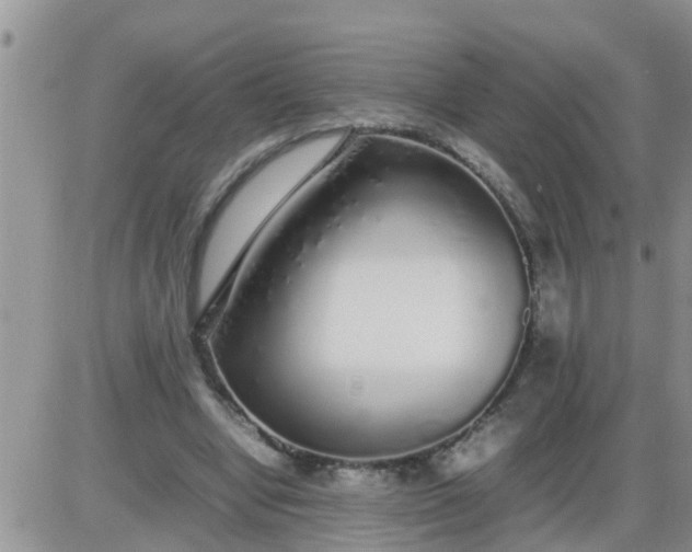 X0000085310442200703231928