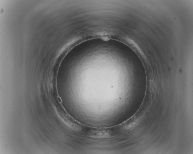 X0000085310443200703231928