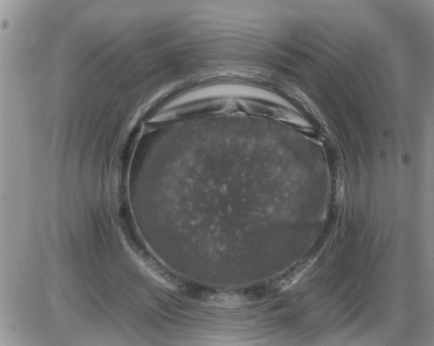 X0000085310444200703231928