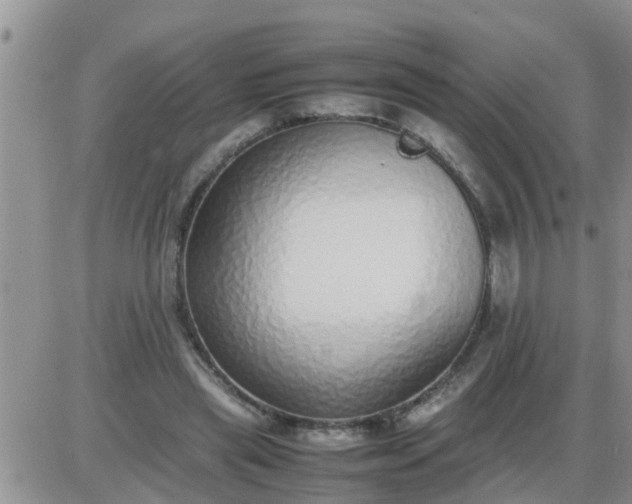 X0000085310445200703231928