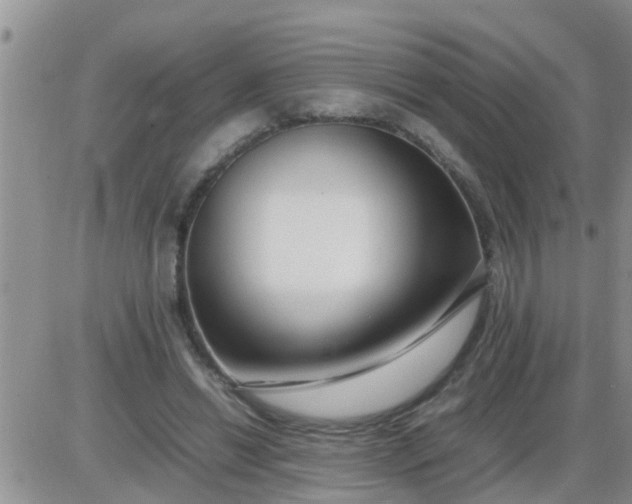 X0000085310446200703231928