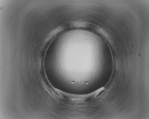 X0000085310447200703231928