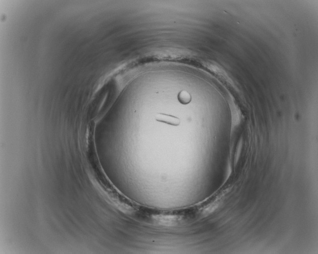 X0000085310448200703231928