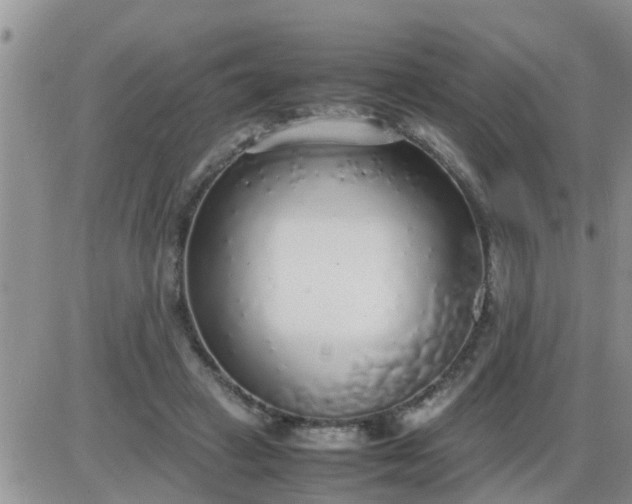 X0000085310449200703231928