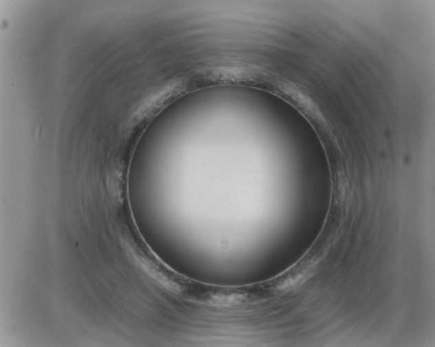 X0000085310450200703231928