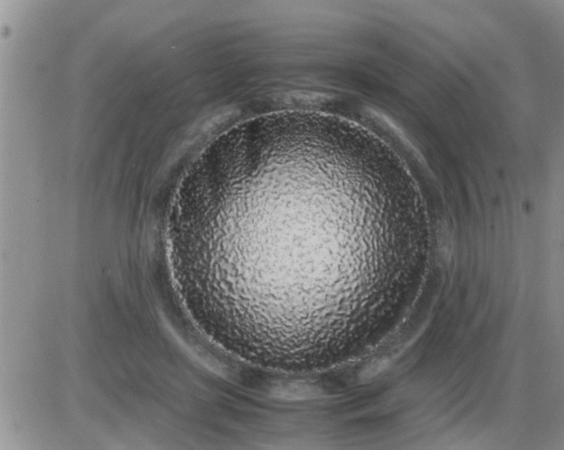 X0000085310451200703231928