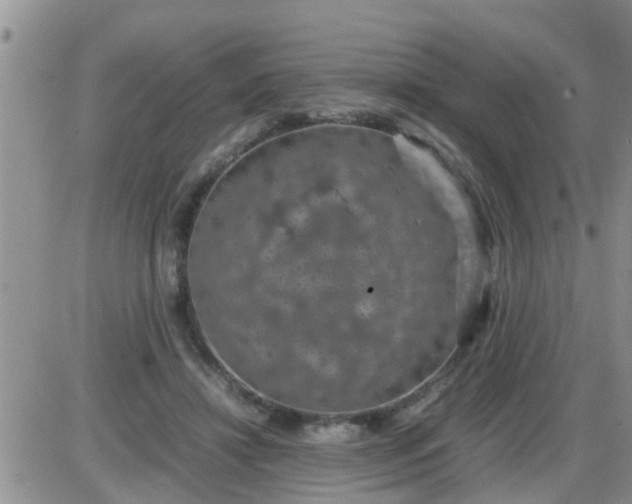 X0000085310452200703231928