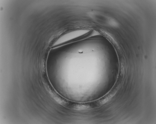 X0000085310453200703231928