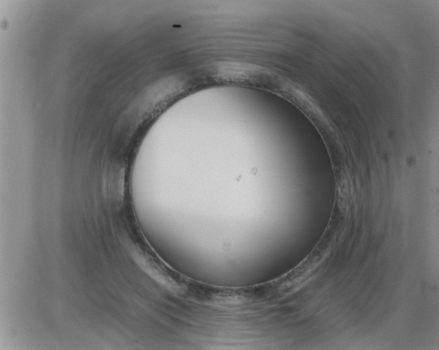 X0000085310454200703231928