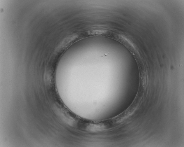 X0000085310455200703231928