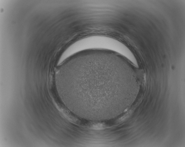 X0000085310456200703231928