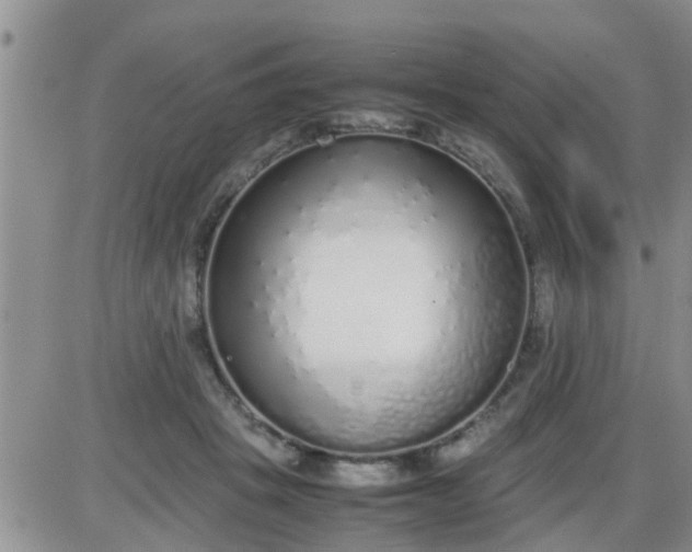 X0000085310457200703231928