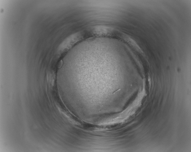 X0000085310458200703231928