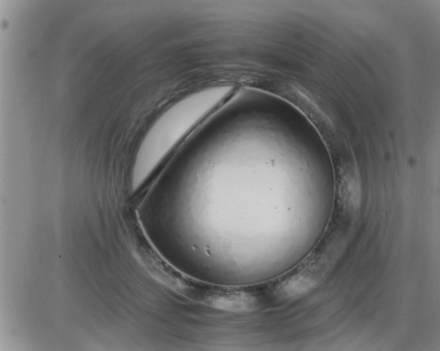 X0000085310459200703231928