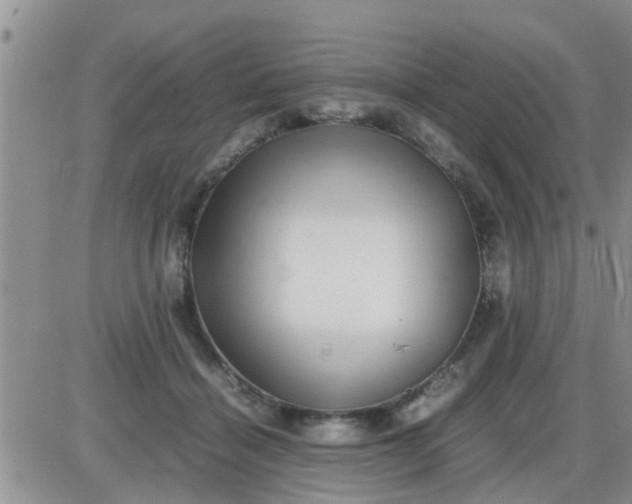 X0000085310460200703231928