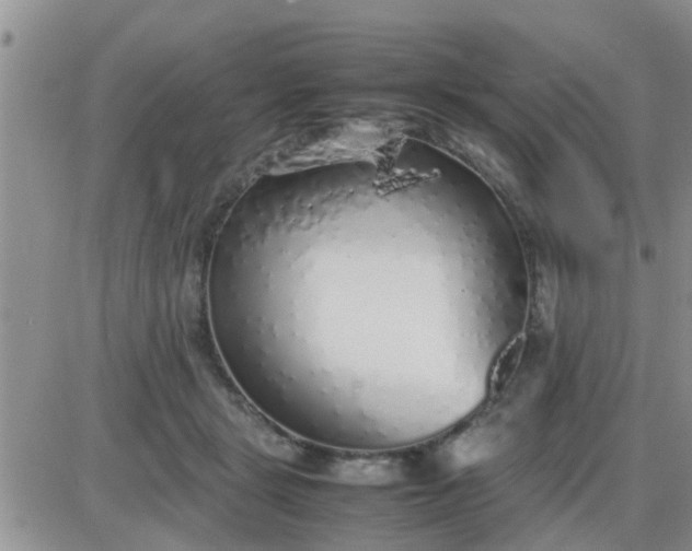 X0000085310461200703231928