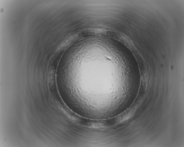 X0000085310462200703231928