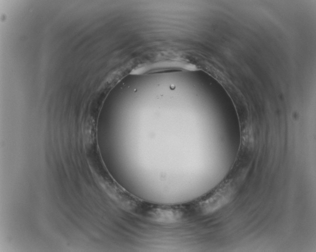 X0000085310464200703231928